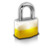 Security Icon